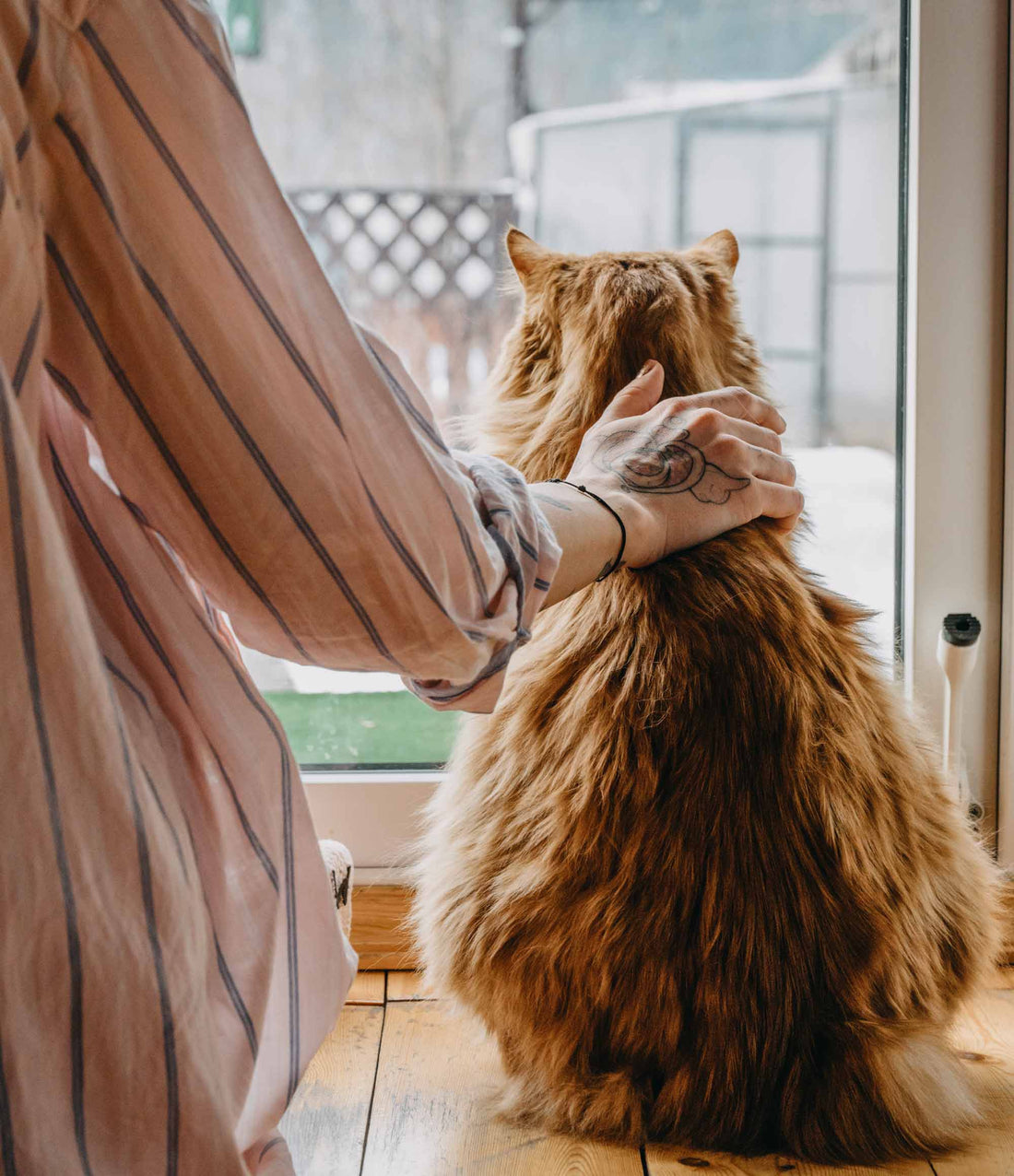 Tiertrauergruppe in Hamburg - Vergiss Mein Nie