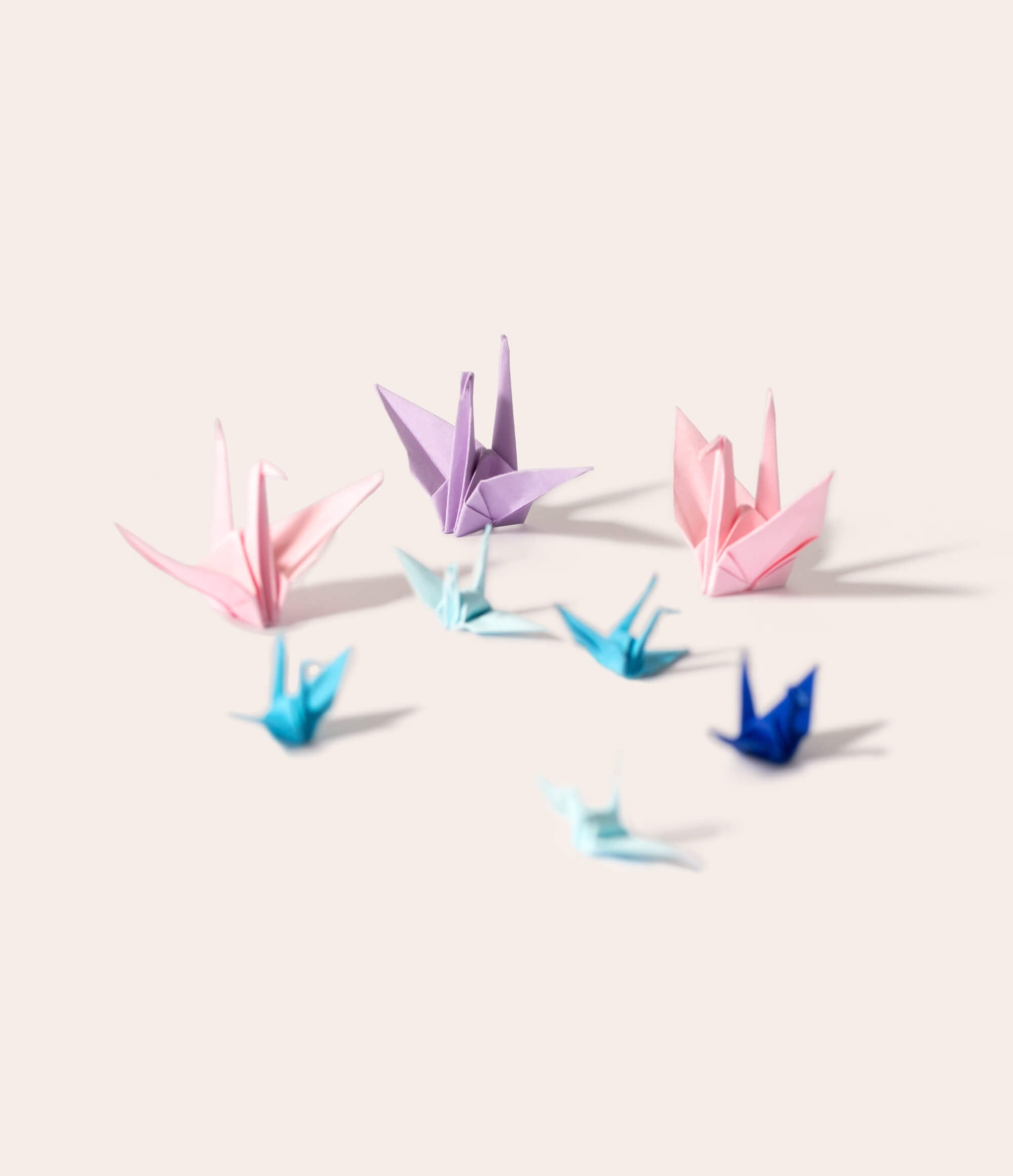 Trauergeschenkset "Seelenvogel" - Vergiss Mein Nie