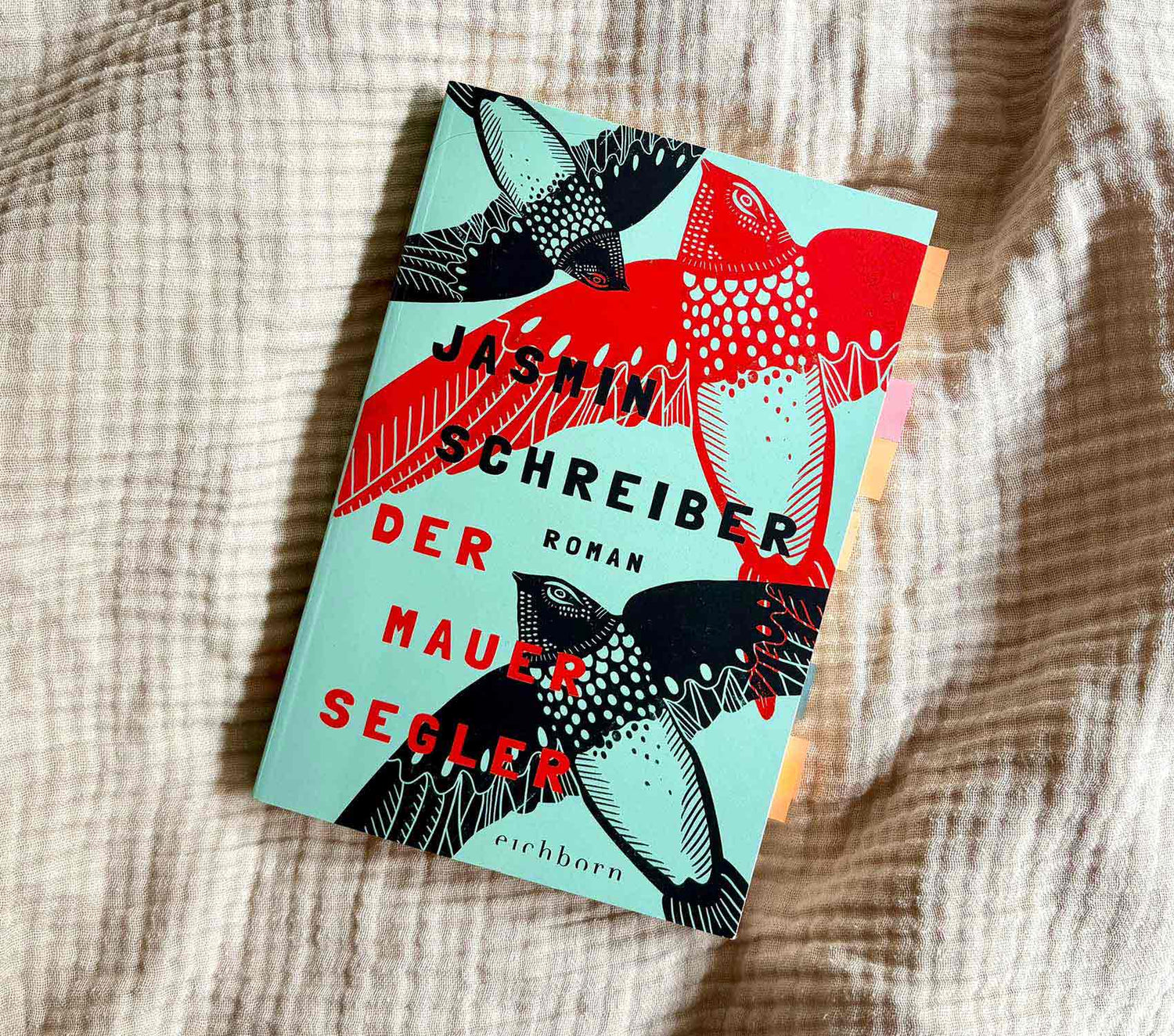 Caro liest laut: Der Mauersegler von Jasmin Schreiber