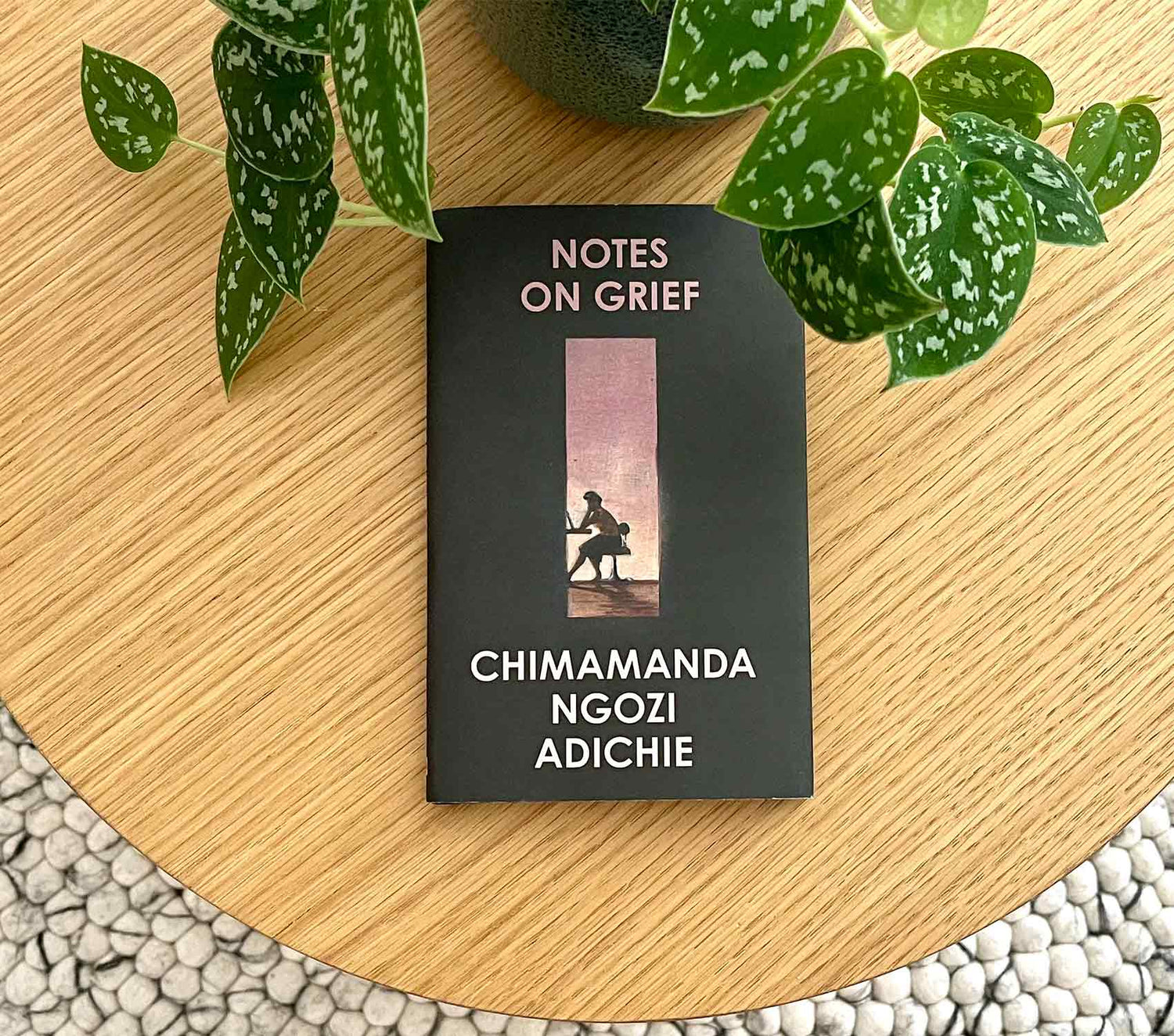 Caro liest laut: Notes on Grief von Chimamanda Ngozi Adichie - Vergiss Mein Nie