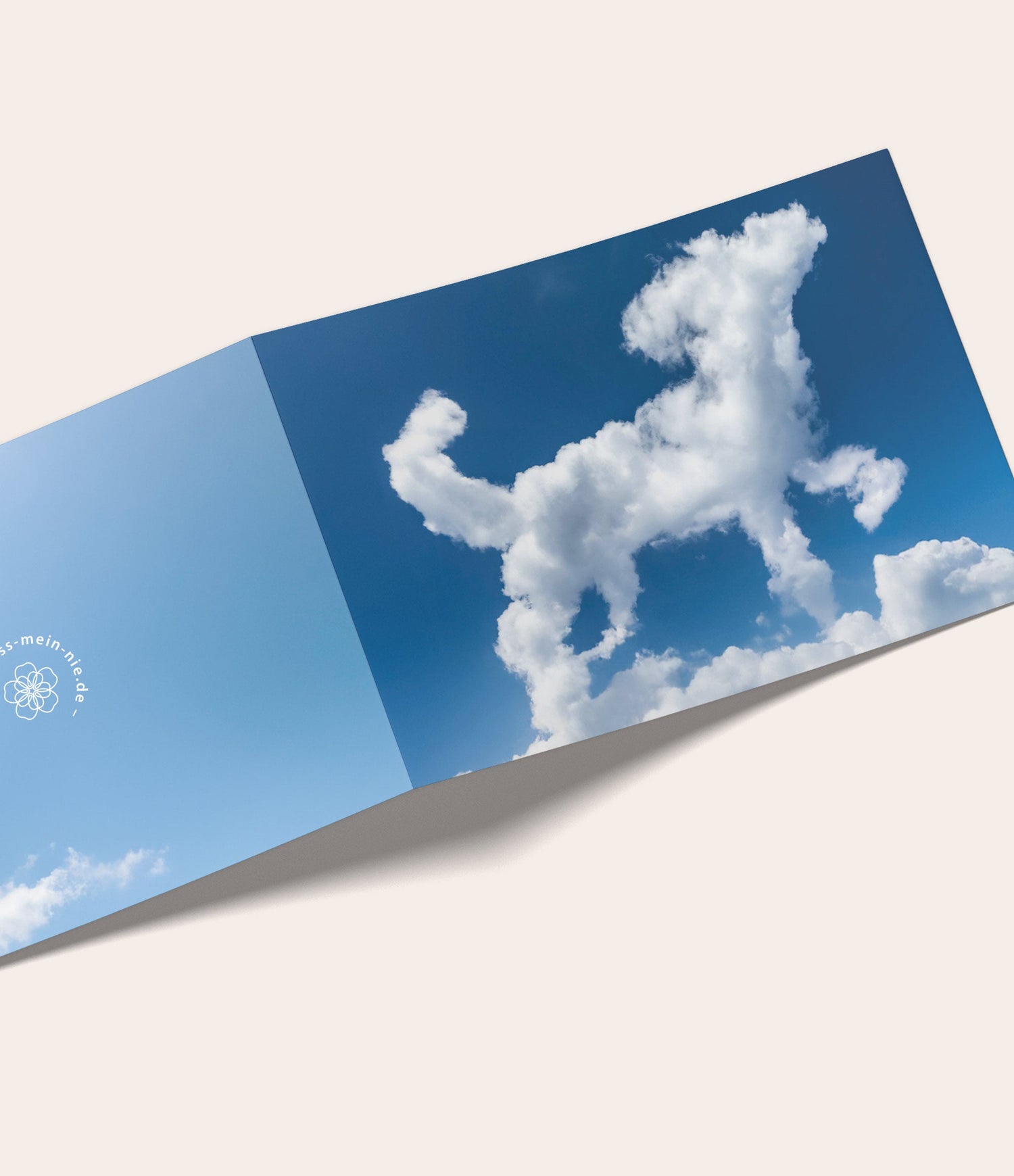 product - name - shop - name