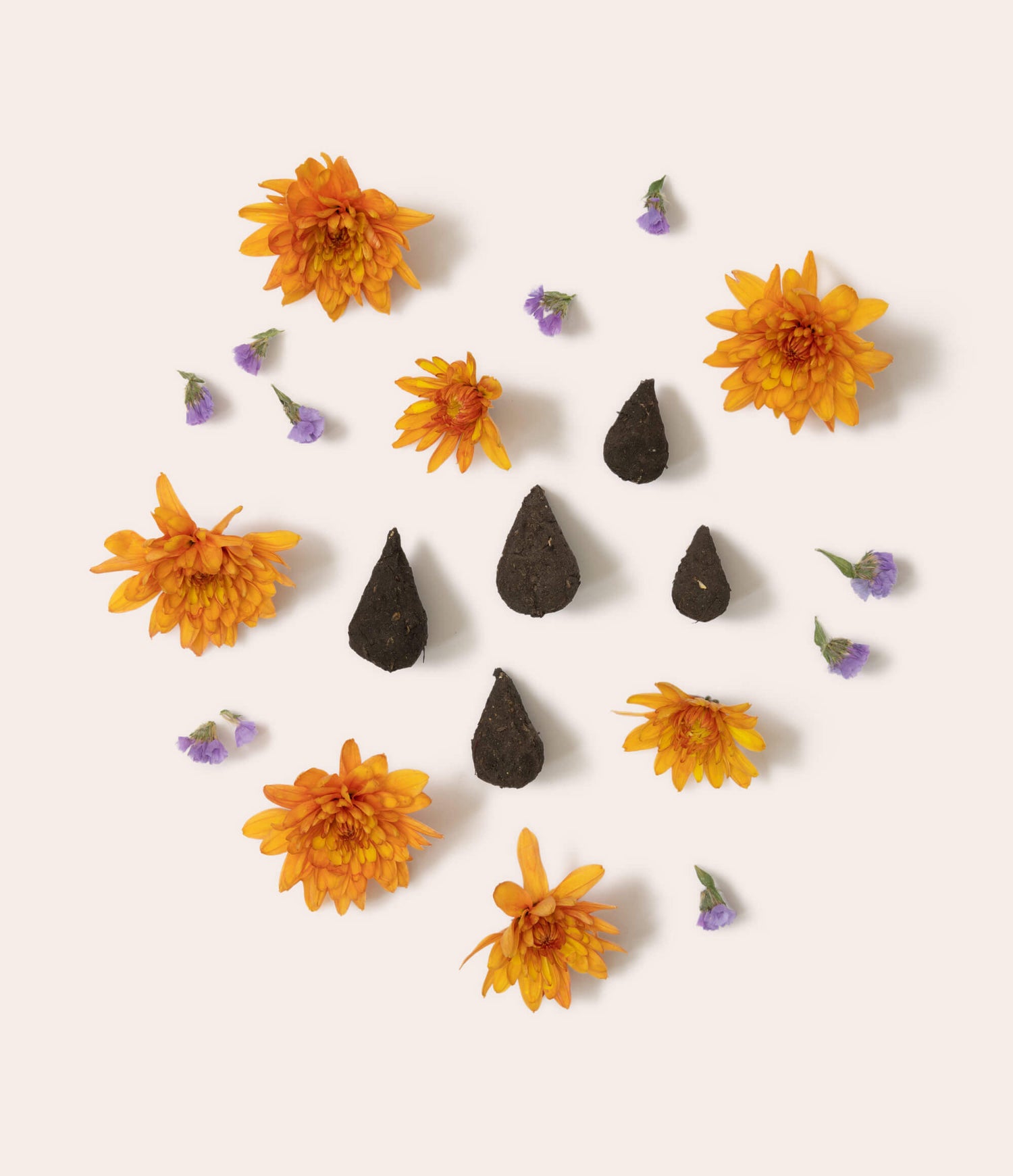 Blumentränen – Saatkugeln - Vergiss Mein Nie