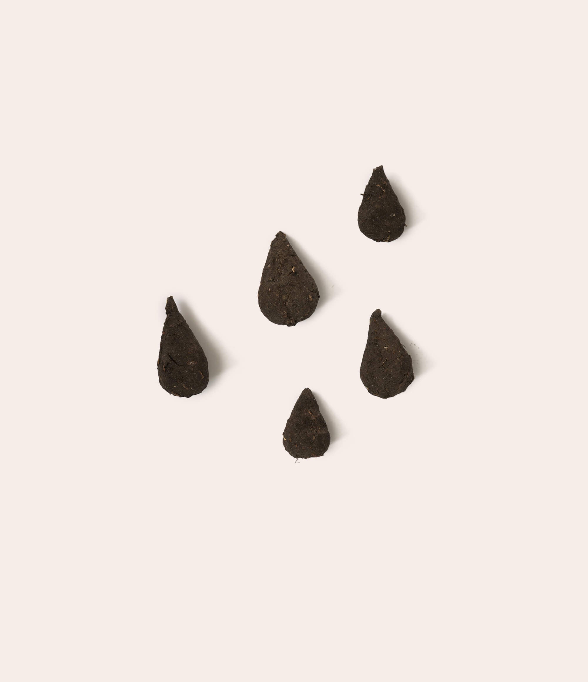 Blumentränen – Saatkugeln - Vergiss Mein Nie