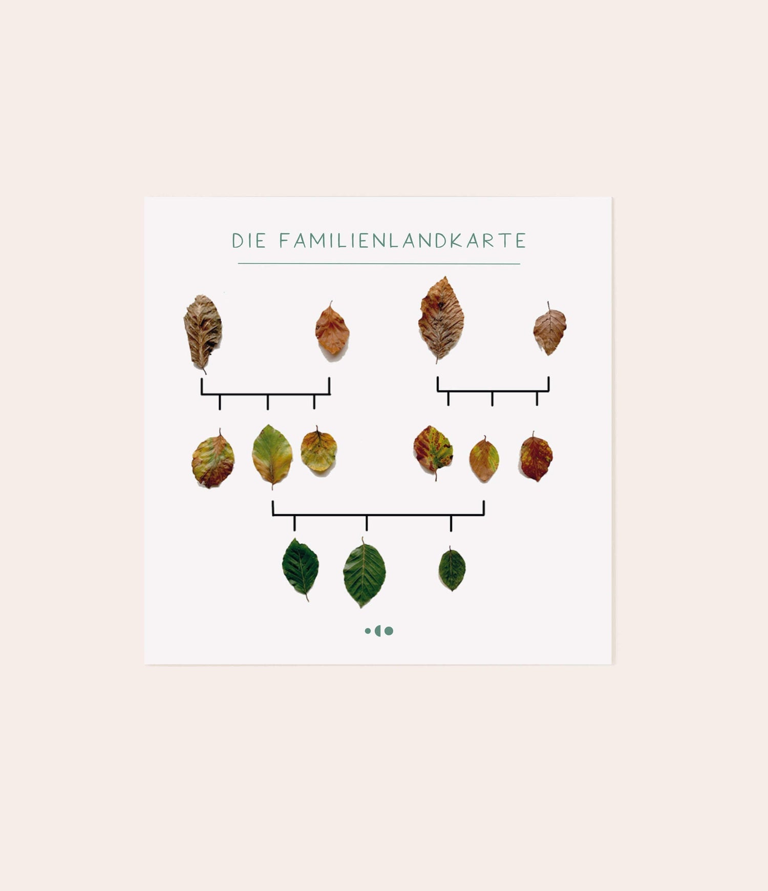 Schaubild - Karte "Familienlandkarte" - Vergiss Mein Nie